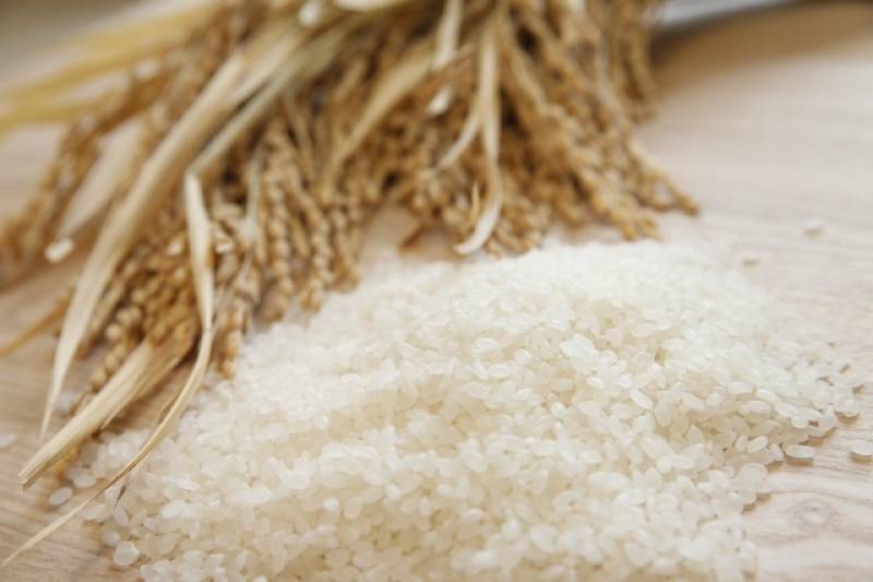 米 - 農作物 - 商品 - 1枚目の写真・イメージ