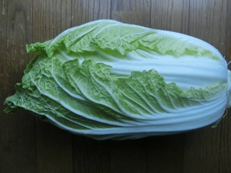 たけのこ白菜 - 農作物 - 基本情報 - 1枚目の写真・イメージ