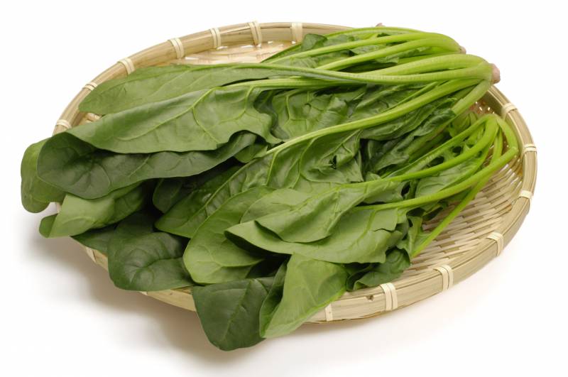 Spinach - Crops - Agriculture - 1st picture/image