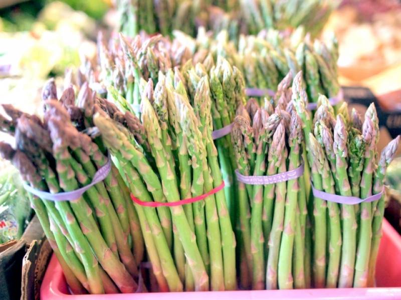 Asparagus - Crops - Overview - 2nd picture/image