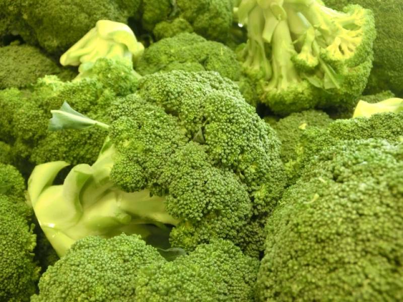 Broccoli - Crops - Agriculture - 1st picture/image