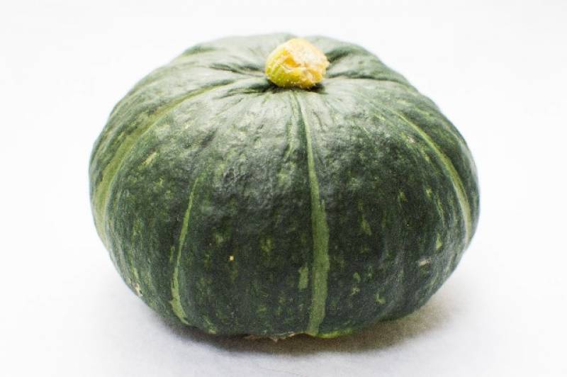 黒皮かぼちゃ - 農作物 - 基本情報 - 1枚目の写真・イメージ