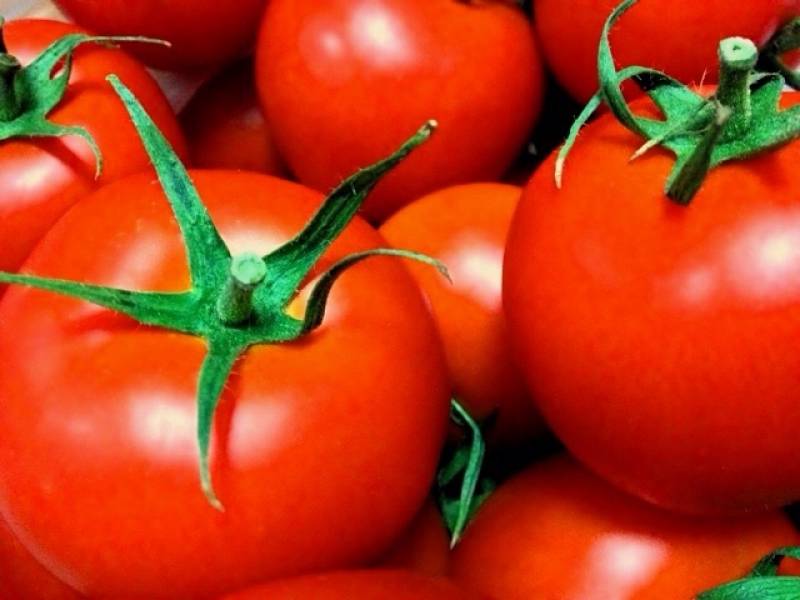 トマト(とまと) - 農作物 - 商品 - 1枚目の写真・イメージ