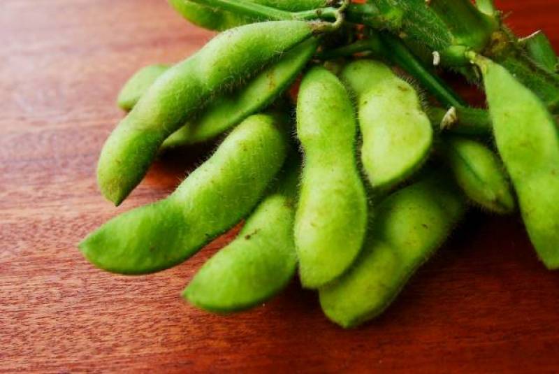 Green soybean - Crops - Agriculture - 1st picture/image