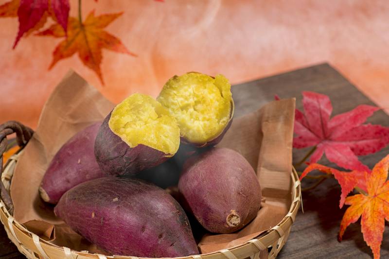 こがね芋(黄金千貫イモ) - かんしょの品種・分類 - 2枚目の写真・イメージ
