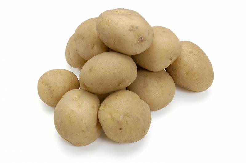 キタアカリ（薯） - 農作物 - 基本情報 - 1枚目の写真・イメージ