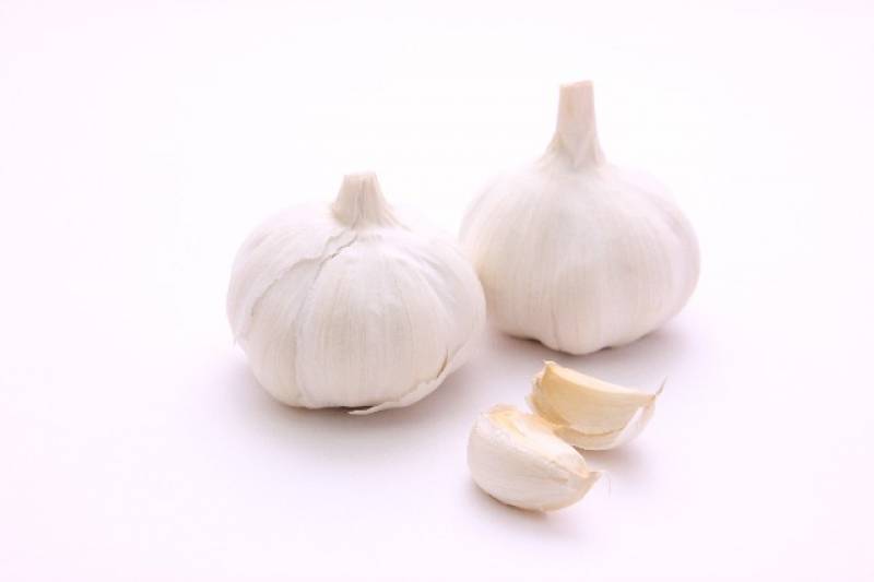 Garlic - Crops - Agriculture - 1st picture/image