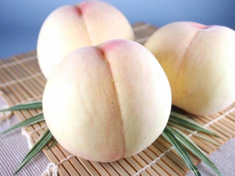 Peach - Crops - Agriculture - 1st picture/image