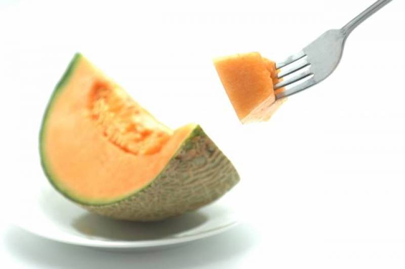 Melon - Crops - Agriculture - 1st picture/image