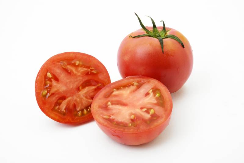冬春トマト - 農作物 - 基本情報 - 1枚目の写真・イメージ