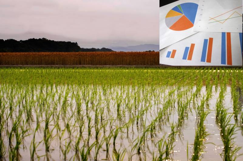 2017年度産の穀物生産統計データの追加 - 1枚目の写真・イメージ - 日本の農作物と農業を促進[JapanCROPs]