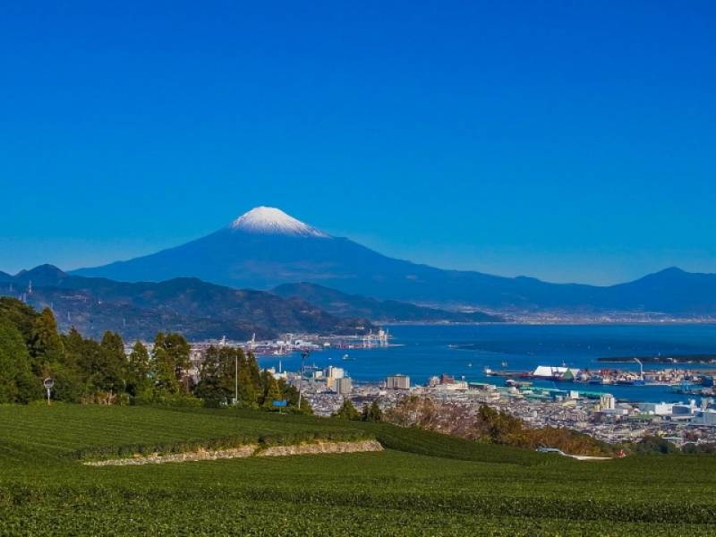 静岡県(しずおか) - 産地 / 都道府県 - 富士山 - 1枚目の写真・イメージ