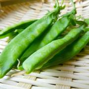 Podded pea(Garden pea) - Districts / Prefectures -  - 1st picture/image