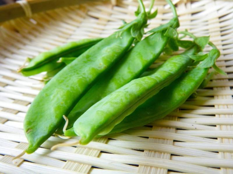 Podded pea(Garden pea) - Crops - Farmers - 1st picture/image