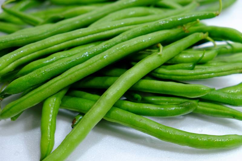 legume (green pods and immature seeds) - Crops - Agriculture - 1st picture/image