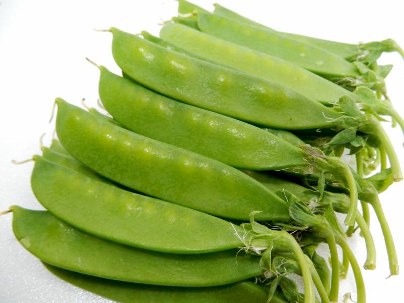 legume (green pods and immature seeds) - Crops - Overview - 2nd picture/image