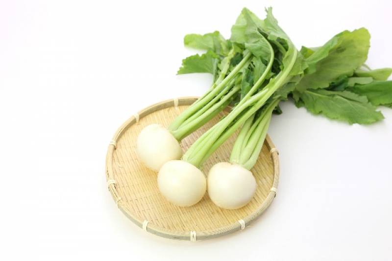 Turnip - Crops - Notice / Blog - 1st picture/image