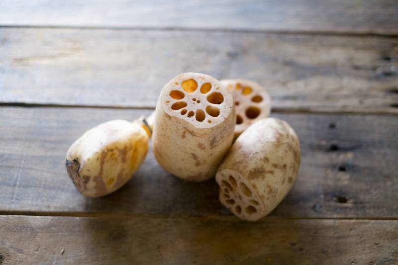Lotus root - Crops - Overview - 2nd picture/image