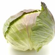 Cabbage - Districts / Prefectures -  - 1st picture/image