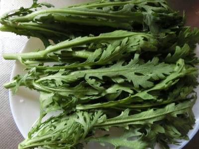 Fukuoka-ken] Wheat and barley, Vegetable, Fruit, Flower production