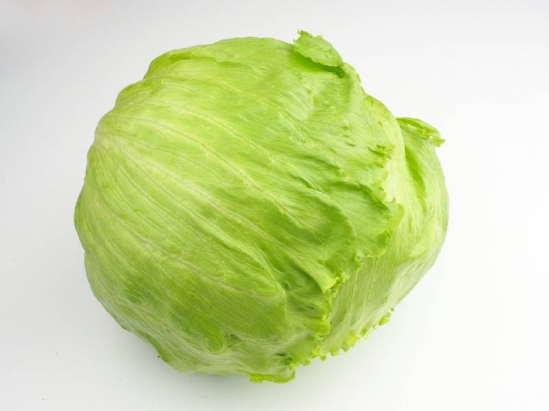 Shinano lettuce - Crops - Overview - 1st picture/image