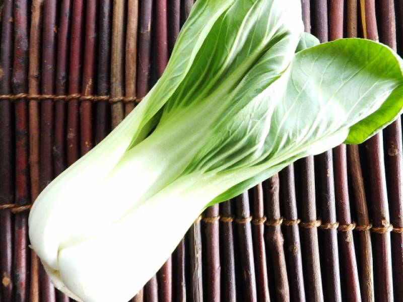 Qinggengcai(Chinese cabbage,bok choi,pak choi ) - Crops - Seasons - 1st picture/image
