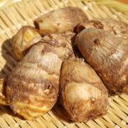 里芋(さといも,サトイモ) - 産地 / 都道府県 -  - 1枚目の写真・イメージ