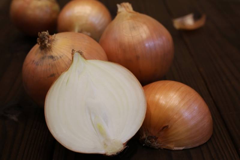 Onion - Crops - Agriculture - 1st picture/image