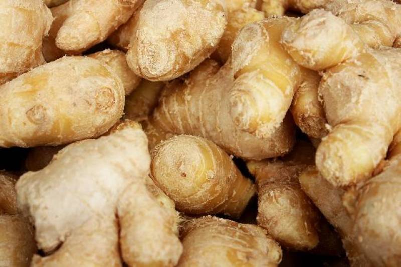 Ginger - Crops - Districts / Municipalities - 1st picture/image