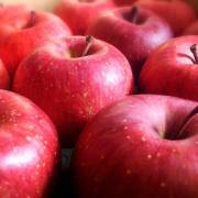 りんご(林檎,リンゴ,アップル) - 産地 / 都道府県 -  - 1枚目の写真・イメージ