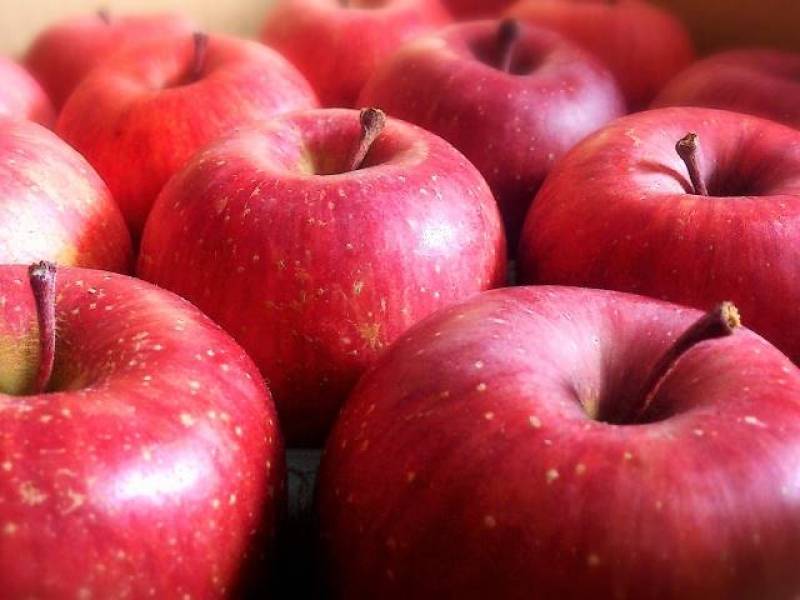 りんご(林檎,リンゴ,アップル) - 農作物 - 消費動向 - 1枚目の写真・イメージ