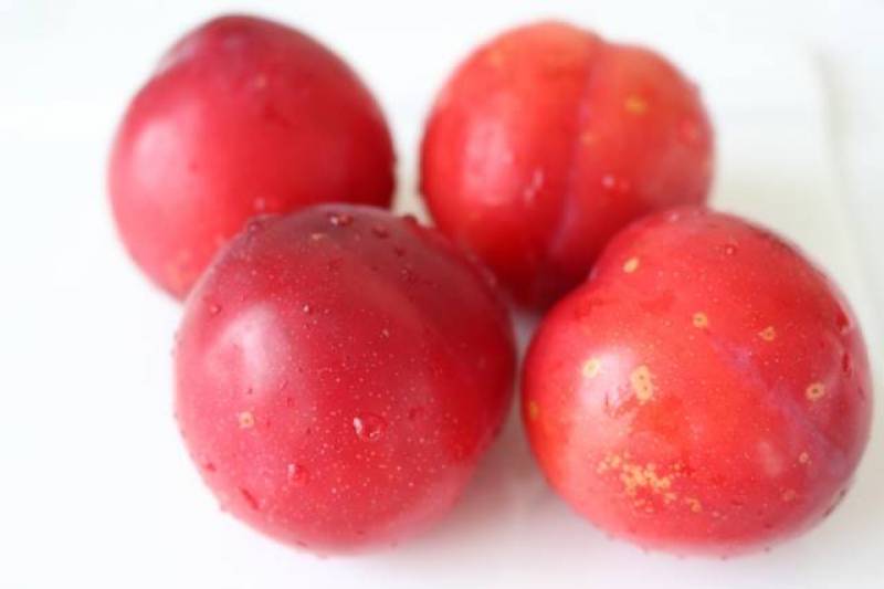 Plum - Crops - Agriculture - 1st picture/image
