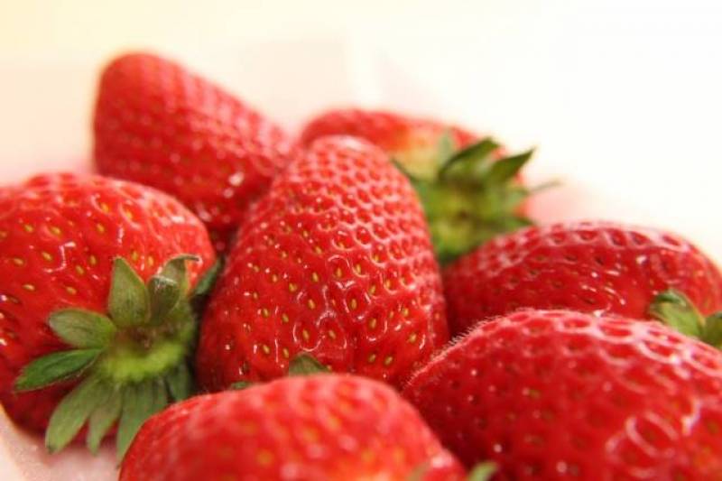 Strawberry - Crops - Agriculture - 1st picture/image