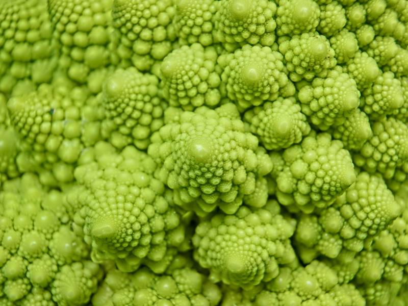 Cauliflower romanesco - Cauliflower's Cultivars/Varieties - 2nd picture/image