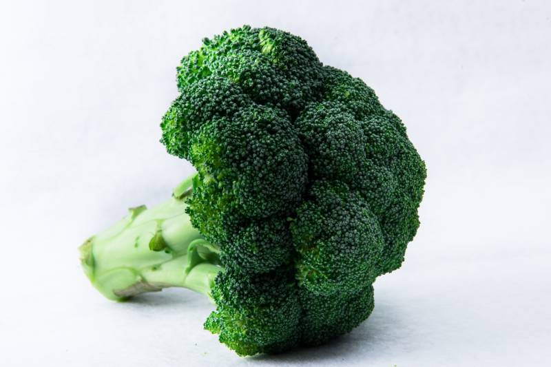 Pixel - Broccoli's Cultivars/Varieties - 2nd picture/image