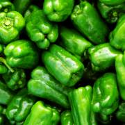 ピーマンの品種 分類の一覧 ジャパンクロップス