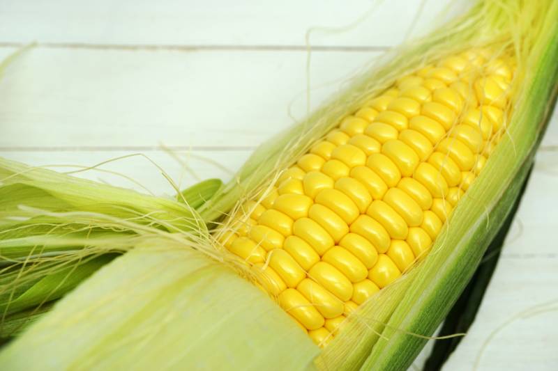Gold rush - Sweet corn's Cultivars/Varieties - 2nd picture/image