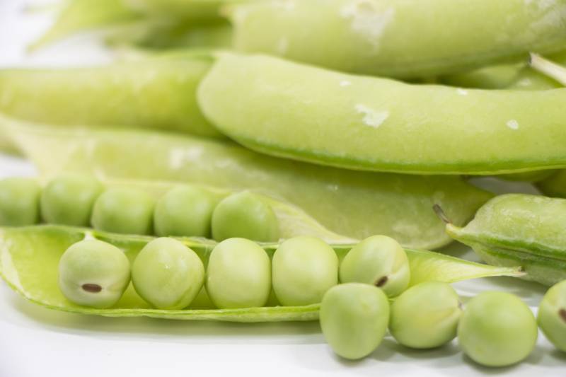 うすいえんどう(碓井豌豆、ウスイエンドウ) - グリーンピースの品種・分類 - 2枚目の写真・イメージ
