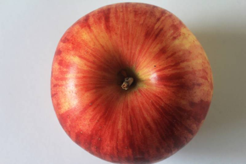 Tsugaru - Apple's Cultivars/Varieties - 2nd picture/image