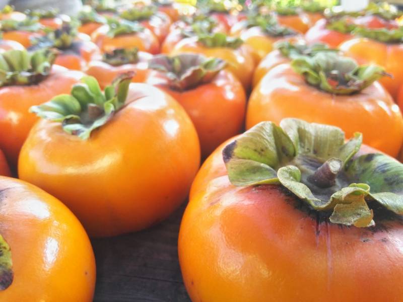 次郎かき - 柿の品種・分類 - 2枚目の写真・イメージ