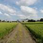 光国農園 - 1枚目の写真・イメージ - 日本の農作物と農業を促進[JapanCROPs]