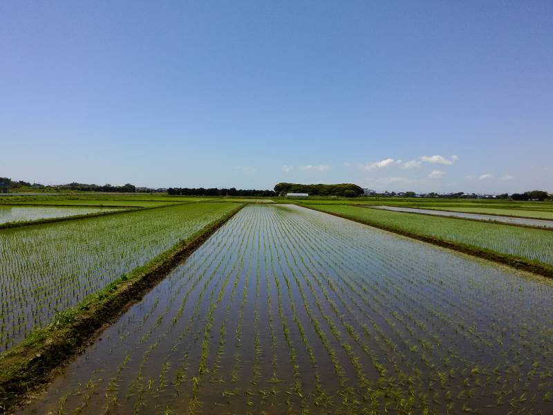 Strength of Japan agri - water - 2nd picture/image - promote Japanese crop and agriculture [JapanCROPs]