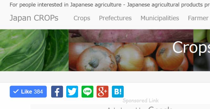 Enhanced SNS sharing buttons - 2nd picture/image - promote Japanese crop and agriculture [JapanCROPs]