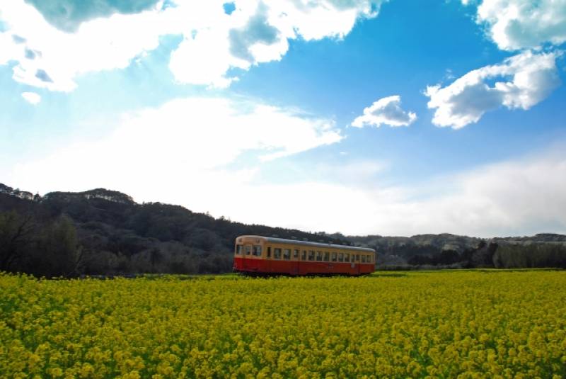 Chiba-ken - Districts / Prefectures - Kominato line - train runs in beatiful scenary - 1st picture/image