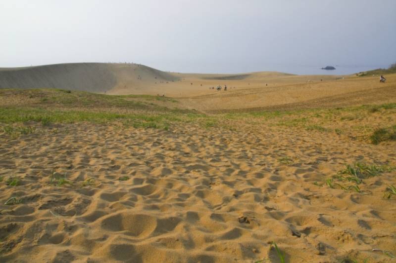 Tottori-ken - Districts / Prefectures - Tottori sand dune - big sand dune area - 1st picture/image