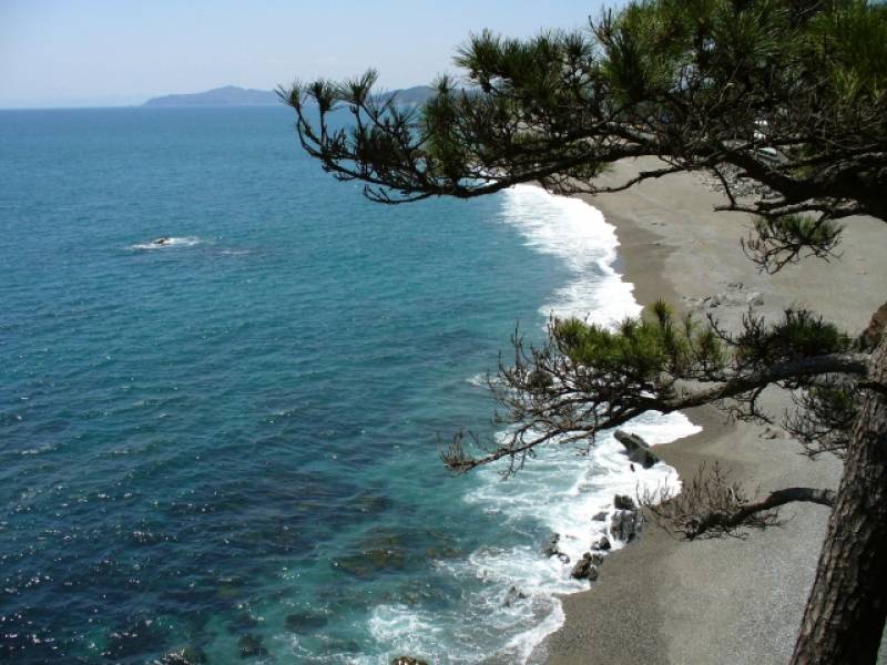 Kochi-ken - Districts / Prefectures - Katsurahama beach - beatiful beach - 1st picture/image