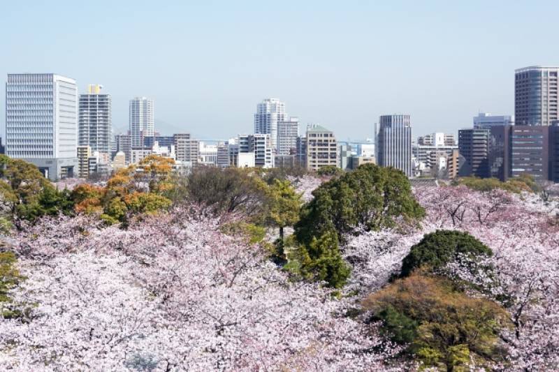 Fukuoka-ken - Districts / Prefectures - Fukuoka city - biggest city in Kyushu area - 1st picture/image