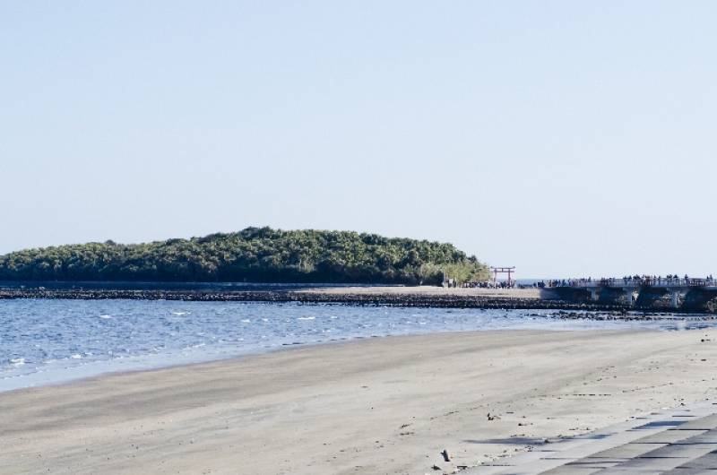 宮崎県(みやざき) - 産地 / 都道府県 - 青島 - 1枚目の写真・イメージ