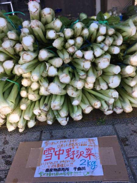 野沢菜 - 1枚目の写真・イメージ - 日本の農作物と農業を促進[JapanCROPs]